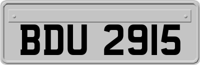 BDU2915