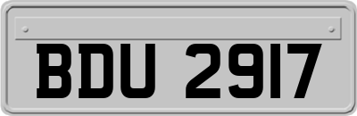 BDU2917