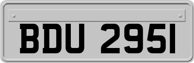 BDU2951