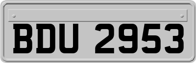 BDU2953