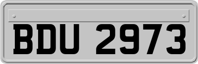 BDU2973
