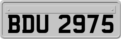 BDU2975