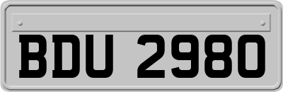 BDU2980