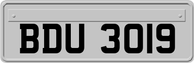 BDU3019