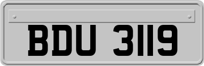 BDU3119