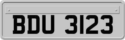 BDU3123