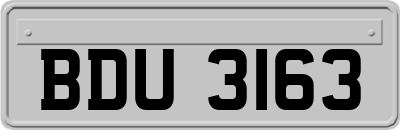 BDU3163