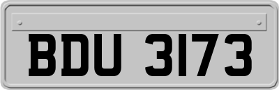 BDU3173