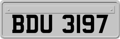 BDU3197