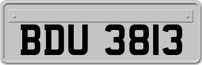 BDU3813