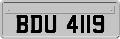 BDU4119