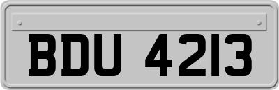 BDU4213