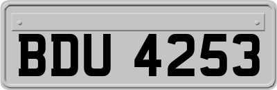 BDU4253