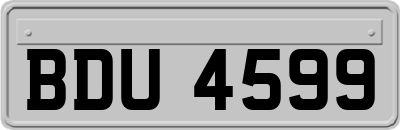 BDU4599