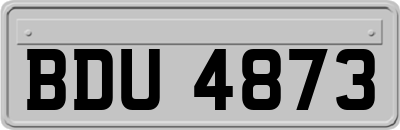 BDU4873