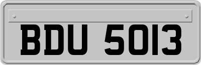 BDU5013