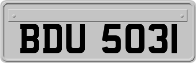 BDU5031