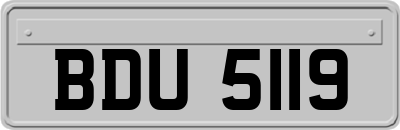 BDU5119