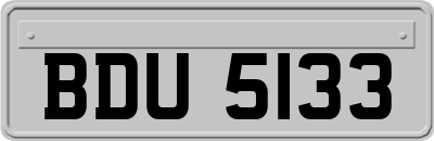 BDU5133