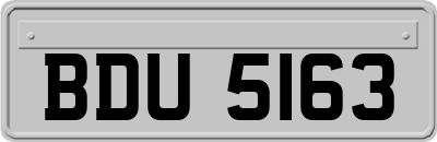 BDU5163