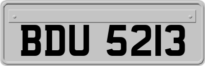 BDU5213