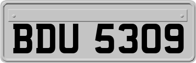 BDU5309