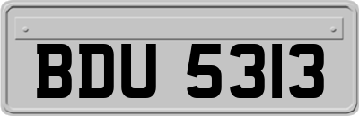 BDU5313