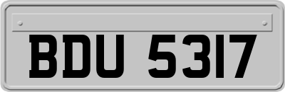 BDU5317