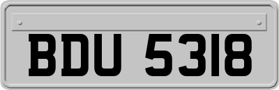 BDU5318