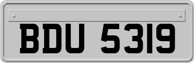 BDU5319