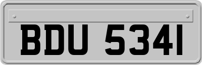 BDU5341