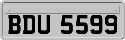 BDU5599