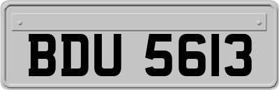 BDU5613