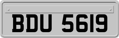 BDU5619