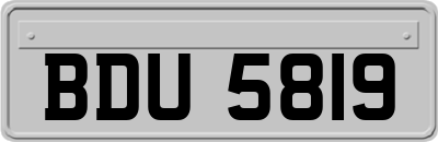 BDU5819