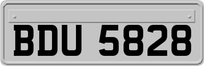 BDU5828