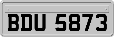 BDU5873