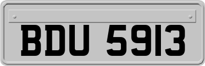 BDU5913