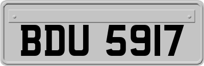 BDU5917