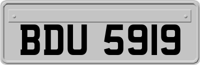 BDU5919