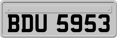 BDU5953