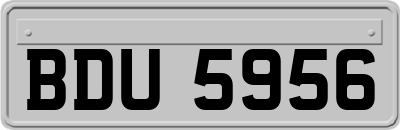 BDU5956
