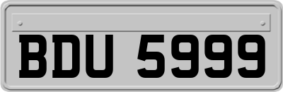 BDU5999