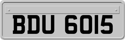 BDU6015