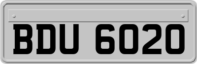 BDU6020