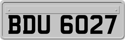 BDU6027