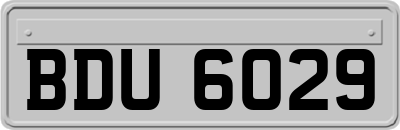 BDU6029