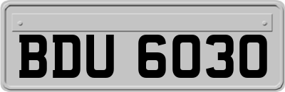 BDU6030