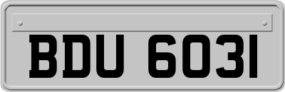 BDU6031