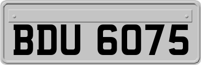BDU6075